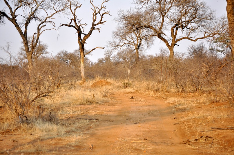 Иван Руденко фотография #30