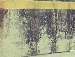 Богдан Яновіцький фотография #23 (источник - https://vk.com/id160281884)