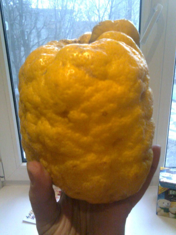 Витя Плаксин фотография #33