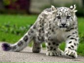 Фотография Ангелопова Сергея