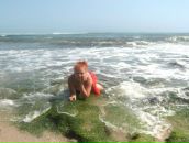 Фотография Лысенко Анны