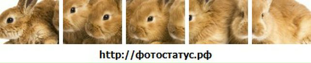 Маріан Гайнуци фотография #26 (источник - https://vk.com/id132459143)