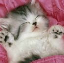 Іванна Юхимчук фотография #21 (источник - https://vk.com/id199882956)