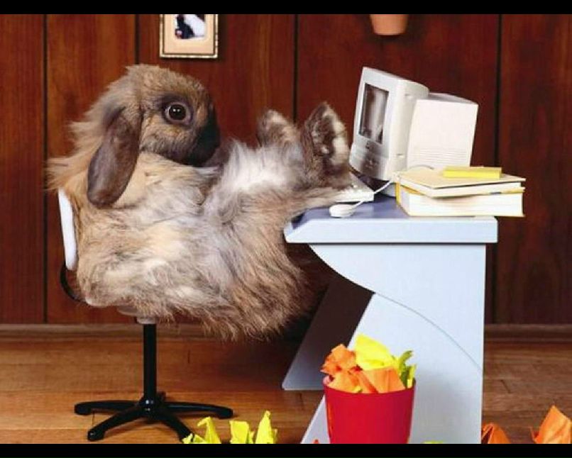 Даниэль Першин фотография #16