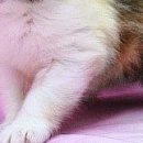 Іванка Зубенко фотография #35 (источник - https://vk.com/id100080283)