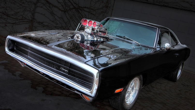 Alex First фотография #3