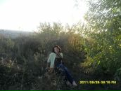 Наталя Медвідь фотография #49 (источник - https://vk.com/id131958240)