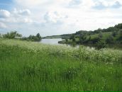 Ігор Вишневський фотография #9 (источник - https://vk.com/id23427609)