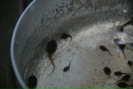 Илья Ткаленко фотография #37 (источник - https://vk.com/id1700512)