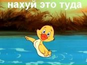 Фотография Анастасия Серт