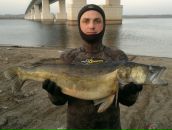 Фотография Беспалова Ольга