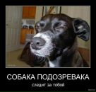 Роман Пронів фотография #2 (источник - https://vk.com/id164365851)