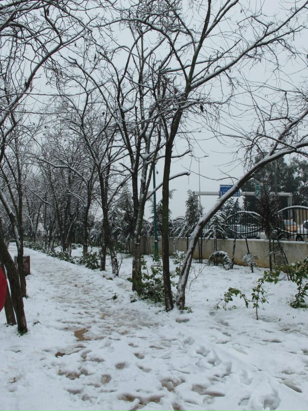 Иван Иванов фотография #33