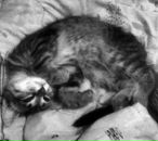 Иван Амельченко фотография #2 (источник - https://vk.com/id684343)