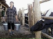 Мотря Копитівна фотография #1