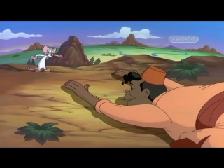 Пинки и Брейн (3 Сезон 8 Серия)