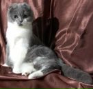 Фотография Happy Оли