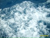 Фотография Гамиловой Люды