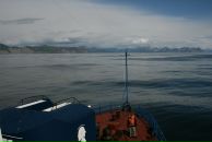 Johnny Bravo фотография #19 (источник - https://vk.com/id3681697)