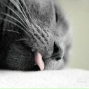 Фотография Ильичёвой Ланы