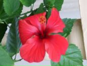 Фотография Кузьминой Марины