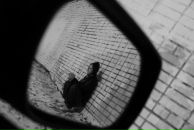 Фотография Покрашенко Василия