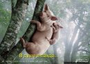Just Up фотография #28 (источник - https://vk.com/id17306725)