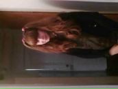 Пушистый Заяц^^ фотография #16 (источник - https://vk.com/id98527619)