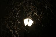 Фотография Войтивы Светланы