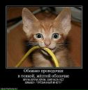 Марк Котов фотография #6 (источник - https://vk.com/id58960494)