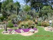 Марійка Оверко фотография #48 (источник - https://vk.com/id99701355)