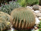 Марійка Оверко фотография #49 (источник - https://vk.com/id99701355)