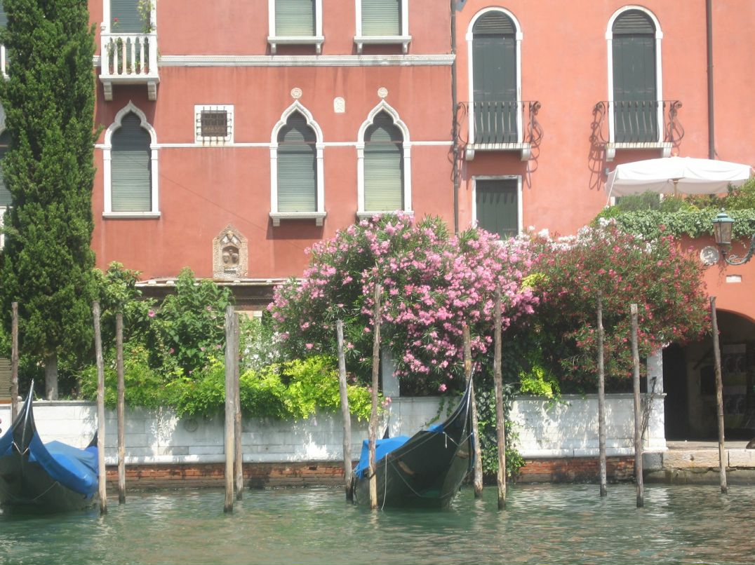 Яркий Мир фотография #7