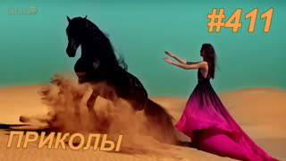 Приколы май 2019 №411
