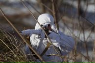 Фотография Касаточкина Юрия