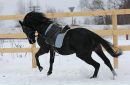 Найк ...™ фотография #9 (источник - https://vk.com/id101479513)