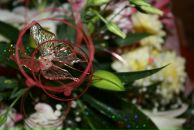 Фотография Мандриковой Екатерины