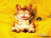 Денис Лісничий фотография #17 (источник - https://vk.com/id11083695)