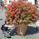 Фотография Ипатовой Татьяны