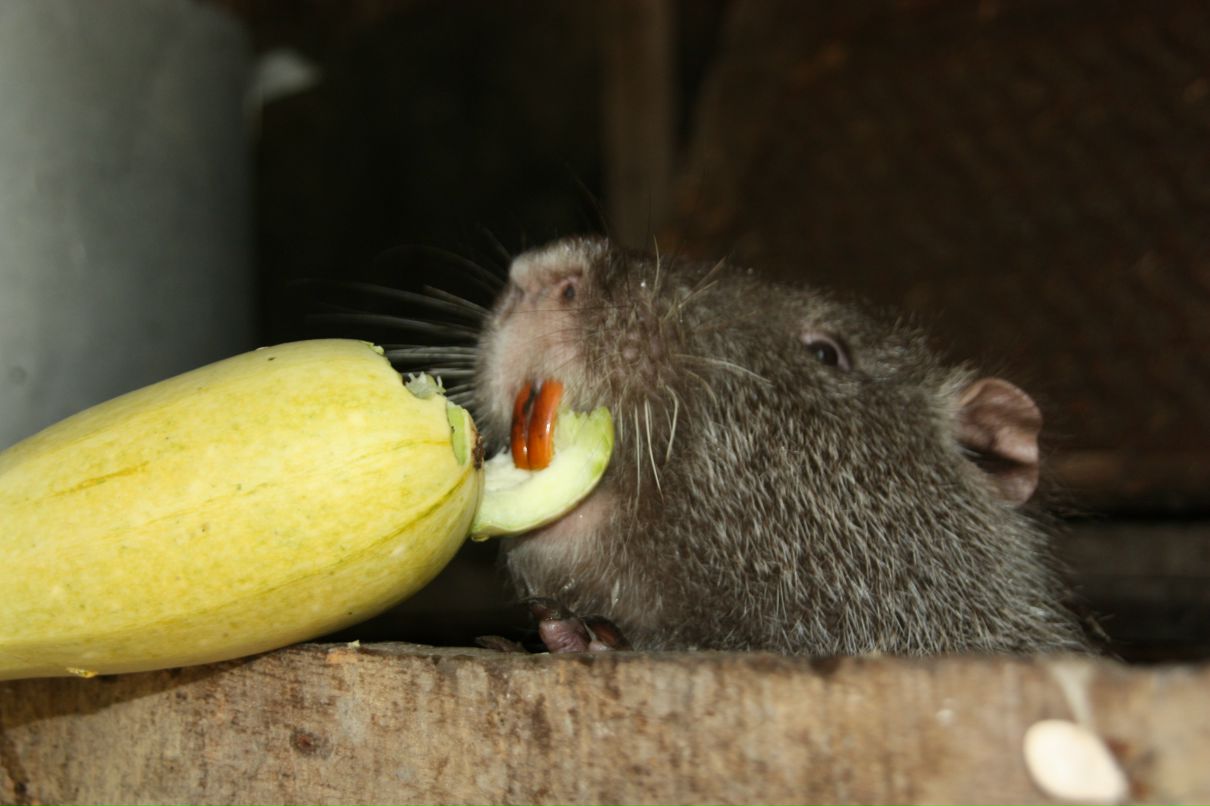 Екатерина Бисс фотография #45