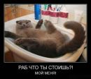 Фотография Логинова Сергея