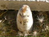 Дмитрий Тарасенко фотография #7 (источник - https://vk.com/id276015)