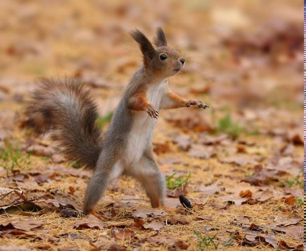 Nazar Plotnikov фото №17