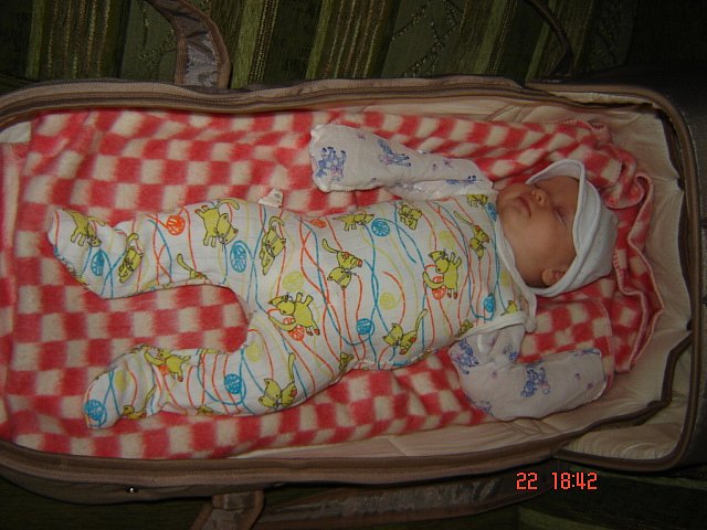 Вован Лебедев фотография #14