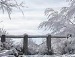 Лєна Бушко фотография #2 (источник - https://vk.com/id154668209)