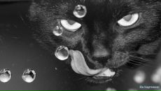 Фотография Истоминой Насти