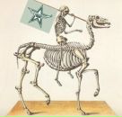 Фотография Фроленко Елены