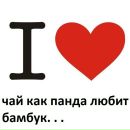 Олексій Шай фотография #28 (источник - https://vk.com/id30603447)