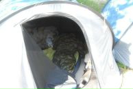 Фотография Безденежного Евгения