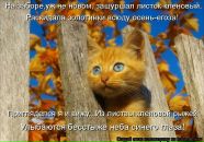 Фотография Щелывановой Ольги